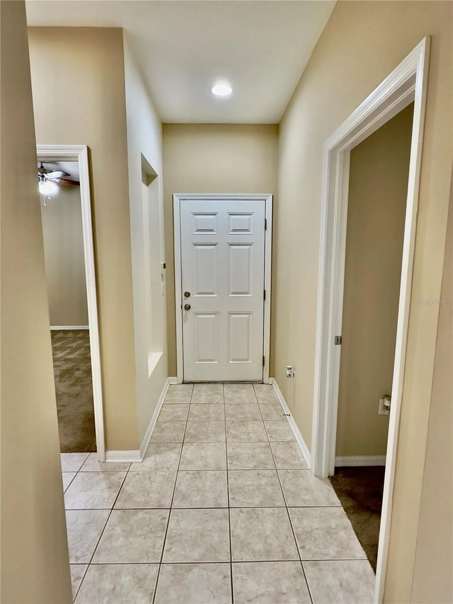 10222 Devonshire Lake Drive Tampa FL 33647