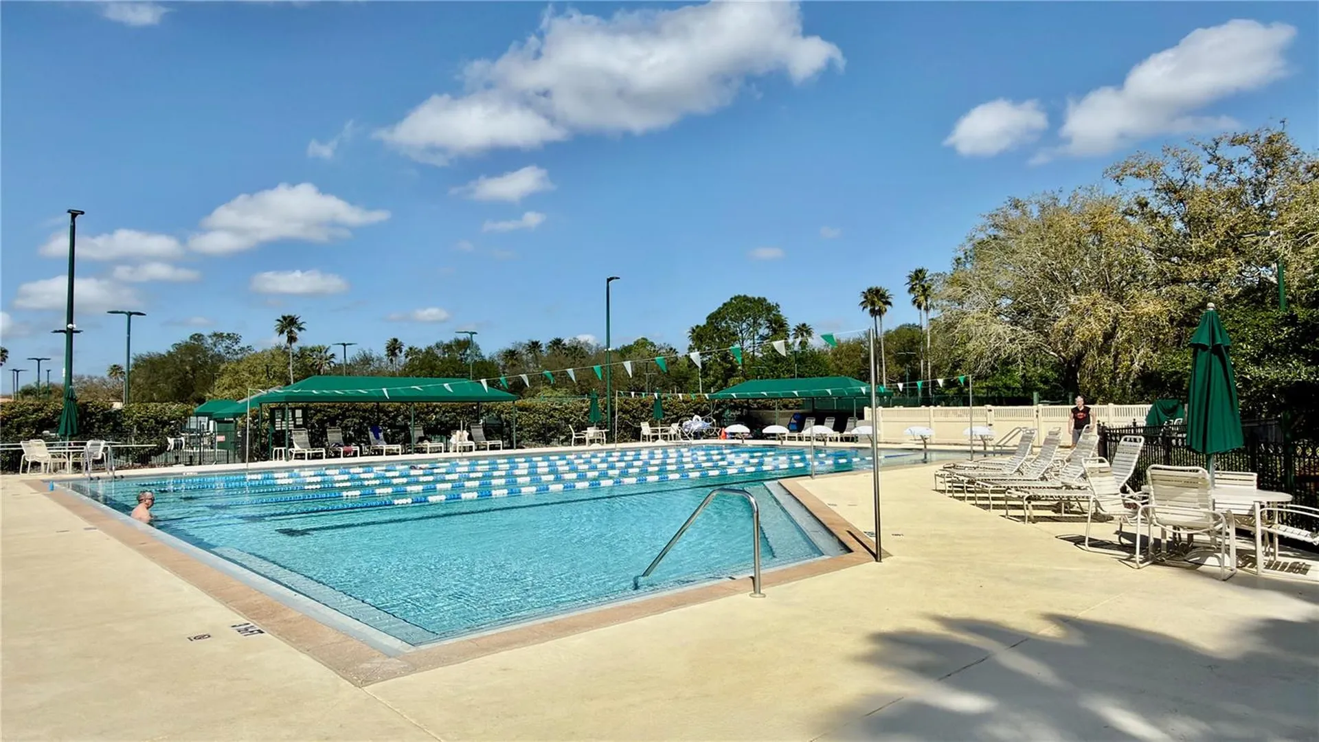 10222 Devonshire Lake Drive Tampa FL 33647