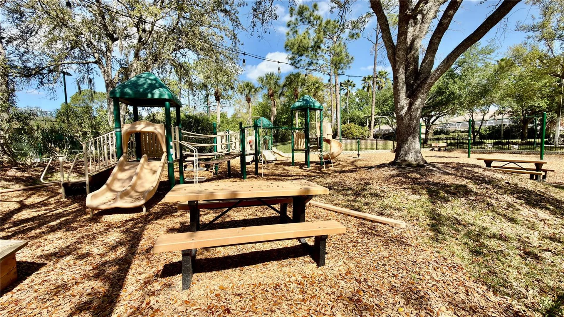 10222 Devonshire Lake Drive Tampa FL 33647