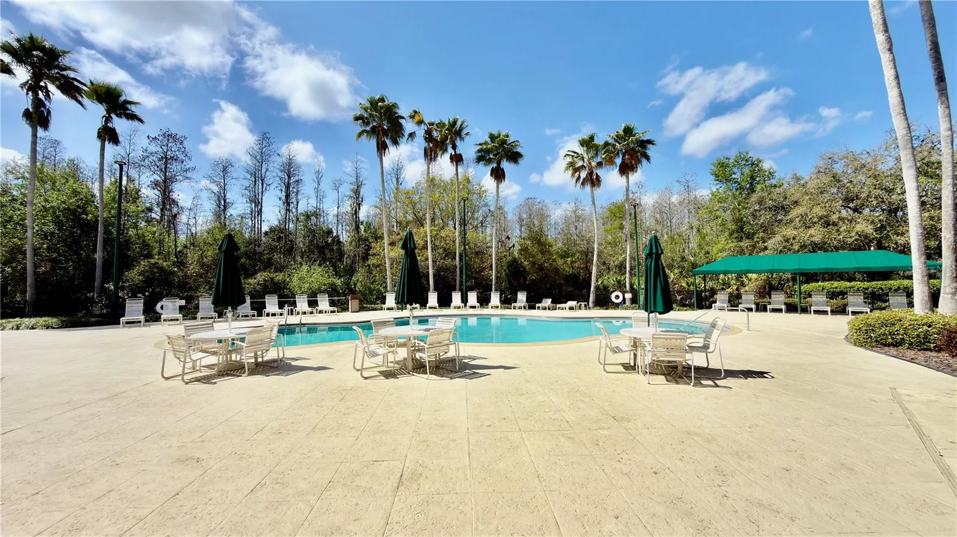 10222 Devonshire Lake Drive Tampa FL 33647