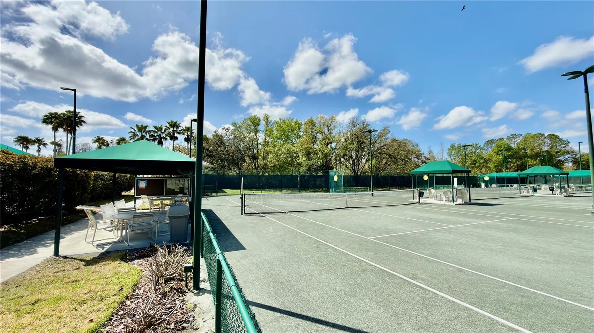 10222 Devonshire Lake Drive Tampa FL 33647