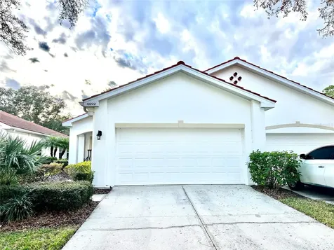 10222 Devonshire Lake Drive Tampa FL 33647