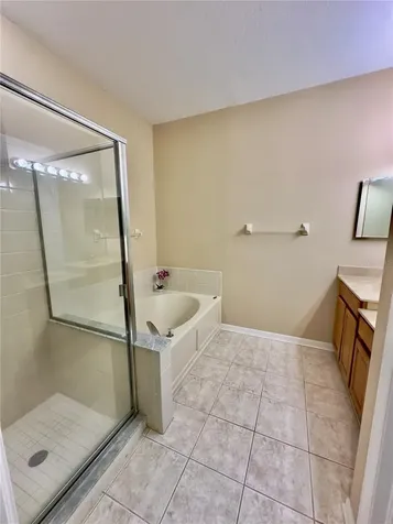 10222 Devonshire Lake Drive Tampa FL 33647