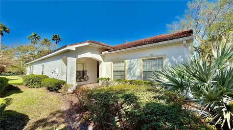 10222 Devonshire Lake Drive Tampa FL 33647