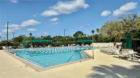 10222 Devonshire Lake Drive Tampa FL 33647