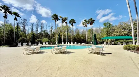 10222 Devonshire Lake Drive Tampa FL 33647