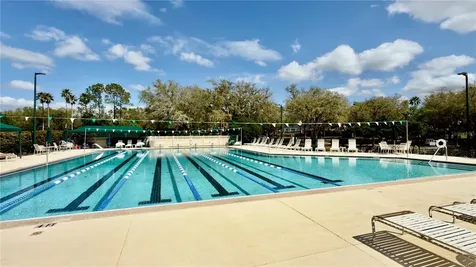 10222 Devonshire Lake Drive Tampa FL 33647