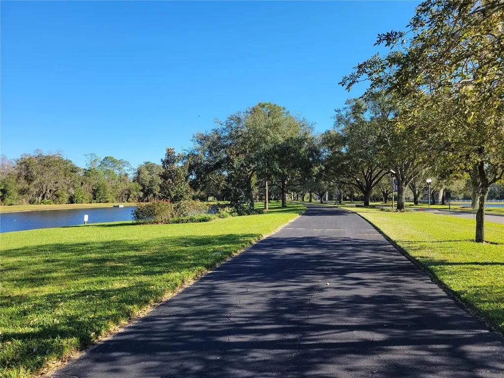 14239 Avenue Of The Groves Winter Garden FL 34787