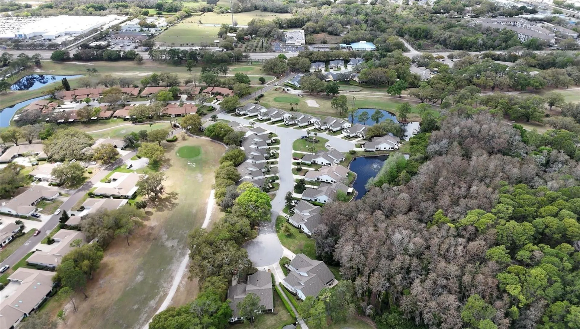 3637 Downfield Place New Port Richey FL 34655