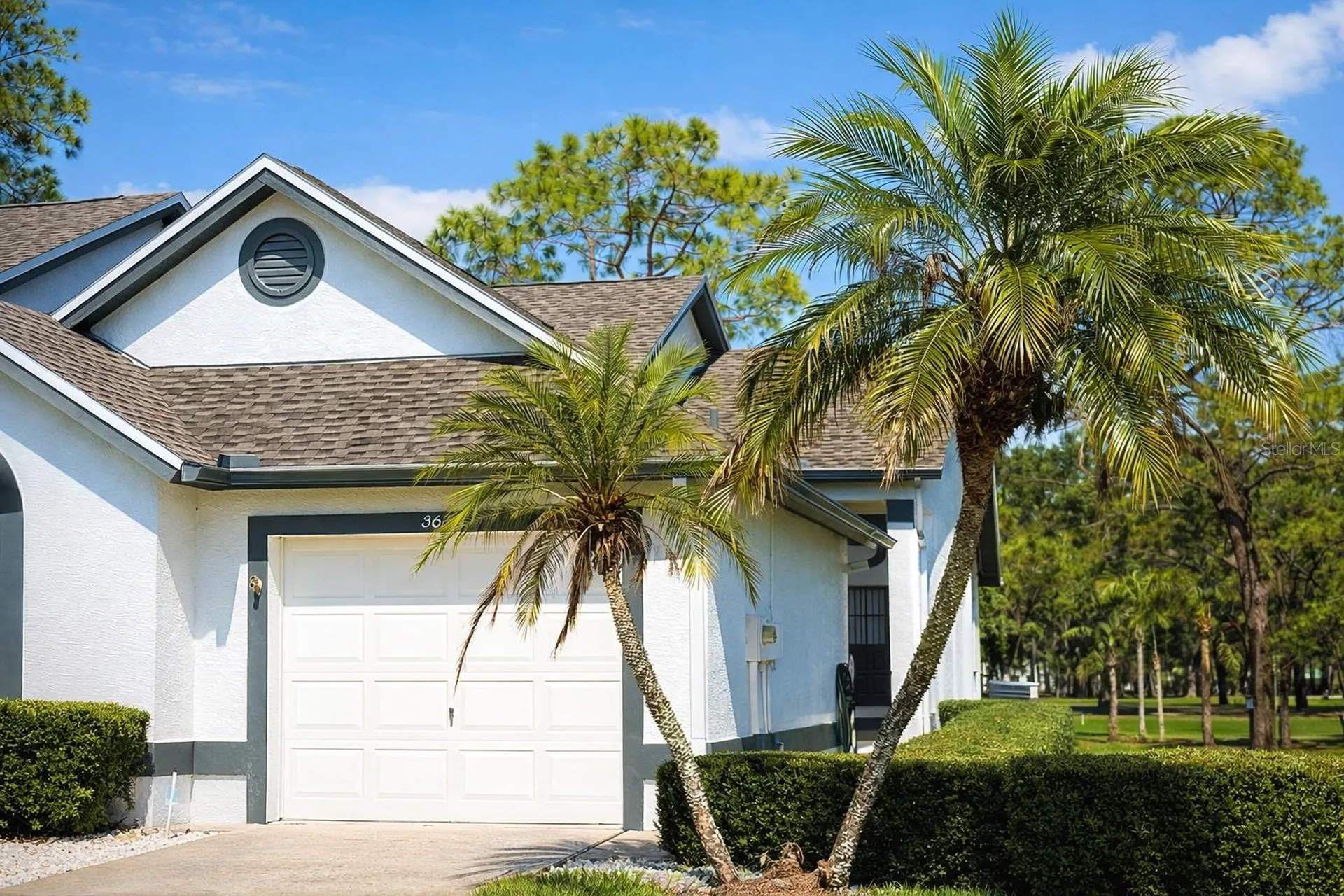 3637 Downfield Place New Port Richey FL 34655