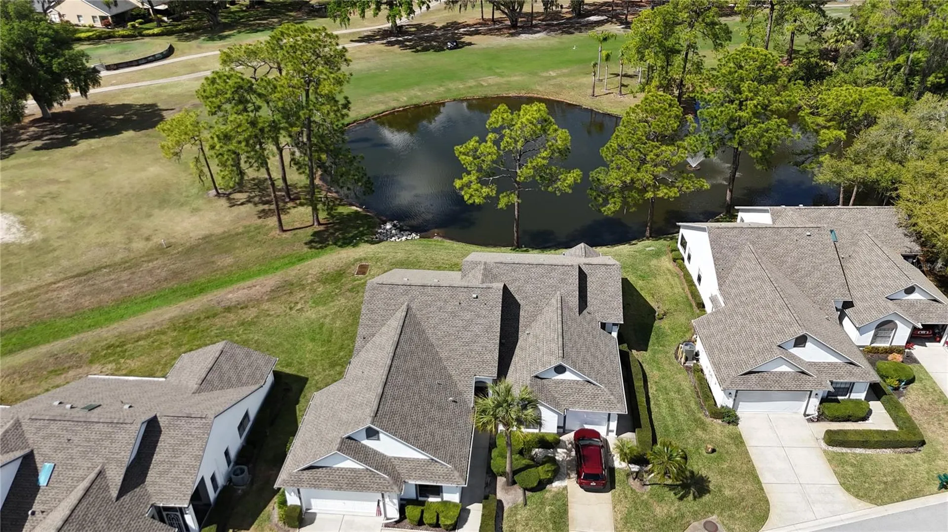 3637 Downfield Place New Port Richey FL 34655