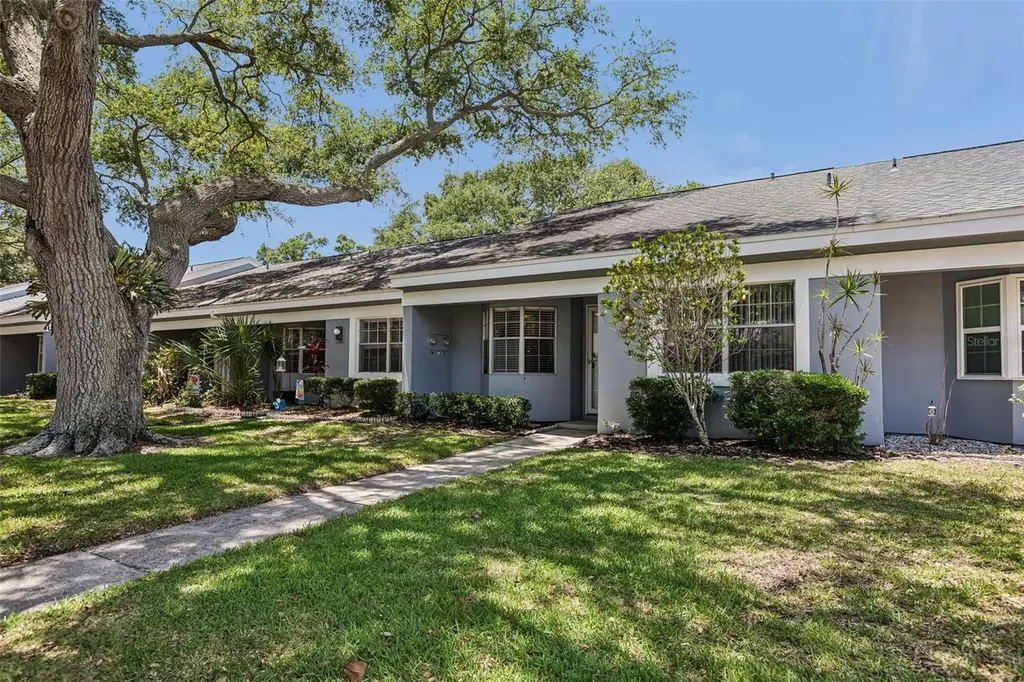 1393 Kittery Court Safety Harbor FL 34695