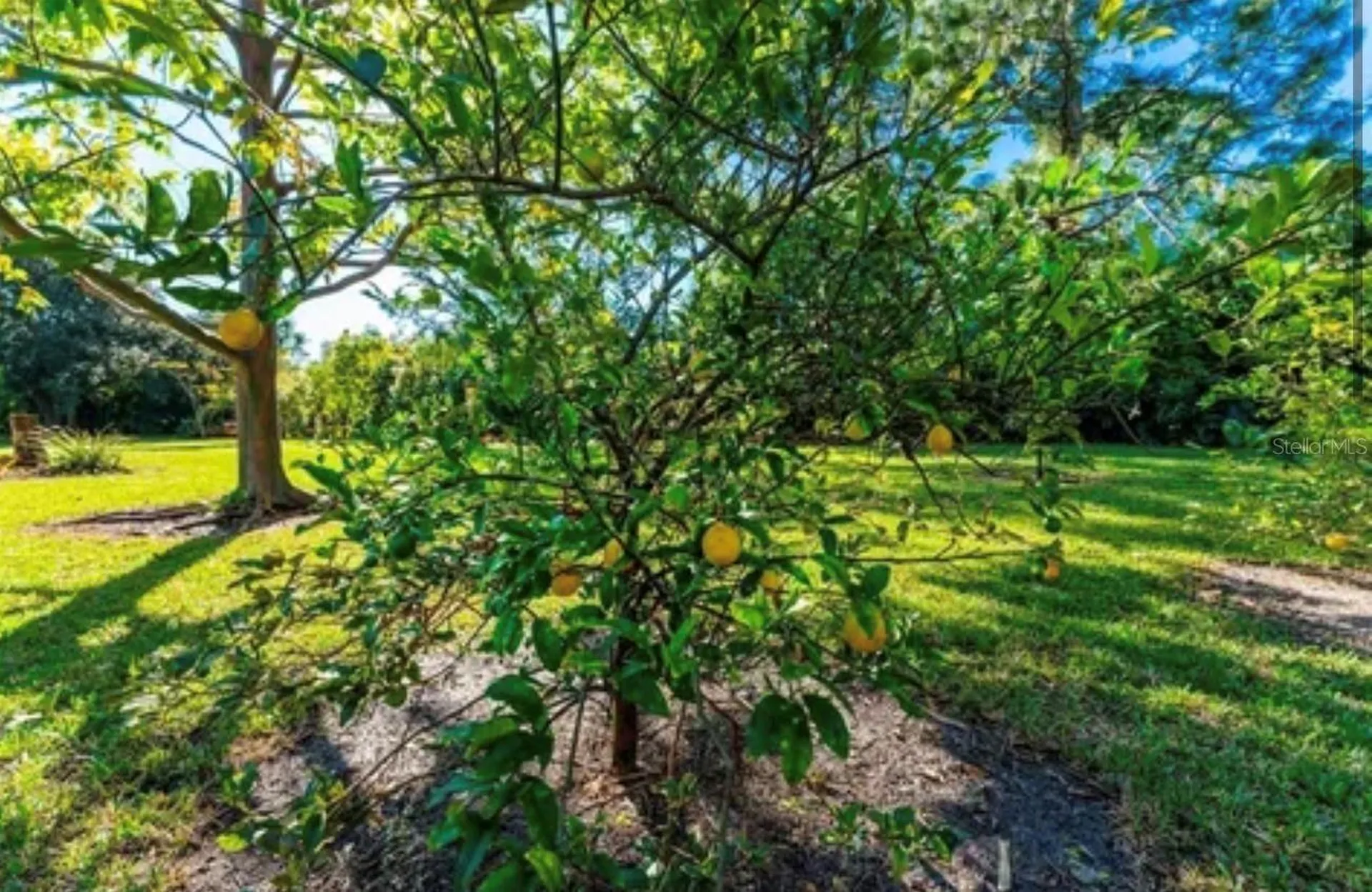 25271 Roland Lane Punta Gorda FL 33955