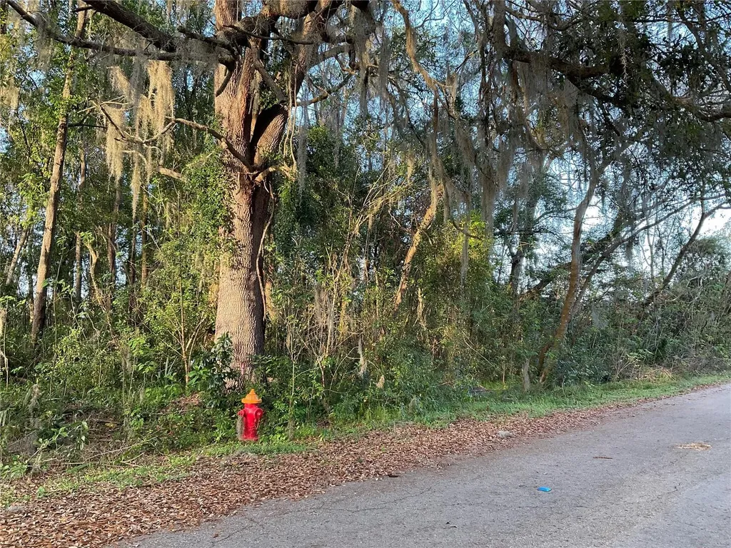 Tbd NW 45th Street Ocala FL 34482