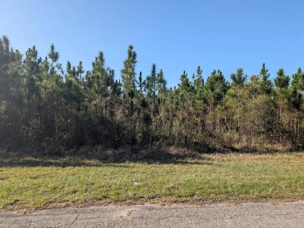 408 Poinciana Drive Indian Lake Estates FL 33855
