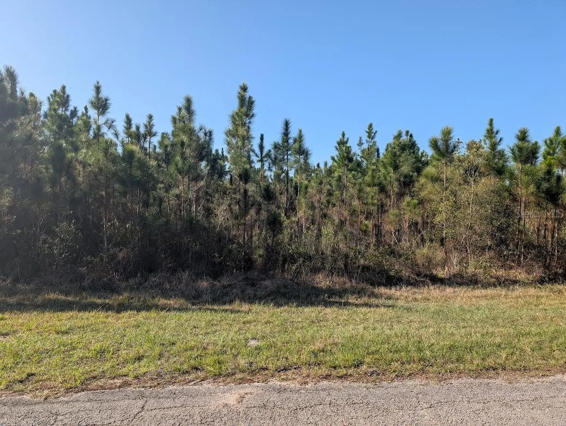 408 Poinciana Drive Indian Lake Estates FL 33855