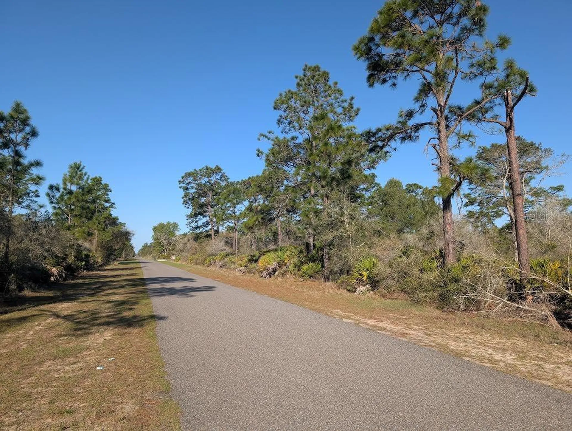 408 Poinciana Drive Indian Lake Estates FL 33855