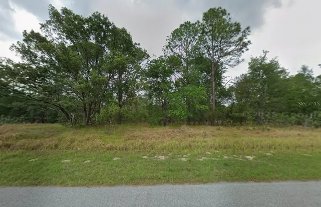 817 W Smallman Place Citrus Springs FL 34434