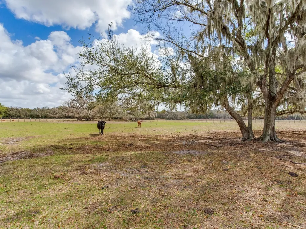 0 S Cr 39 Lithia FL 33547