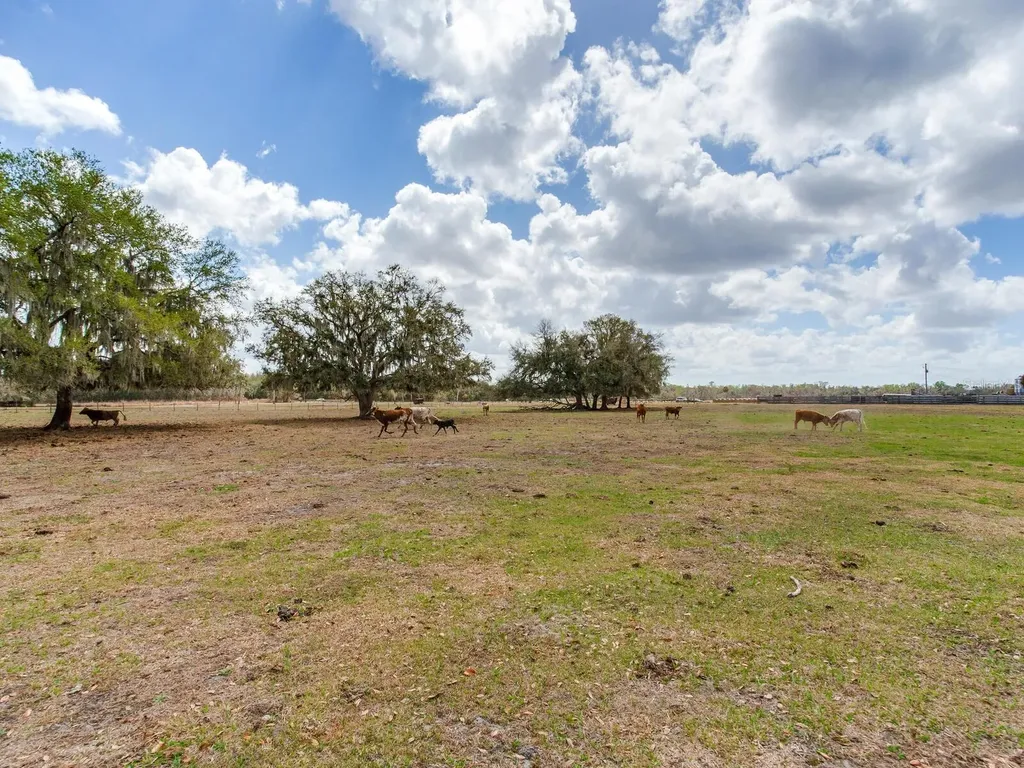 0 S Cr 39 Lithia FL 33547