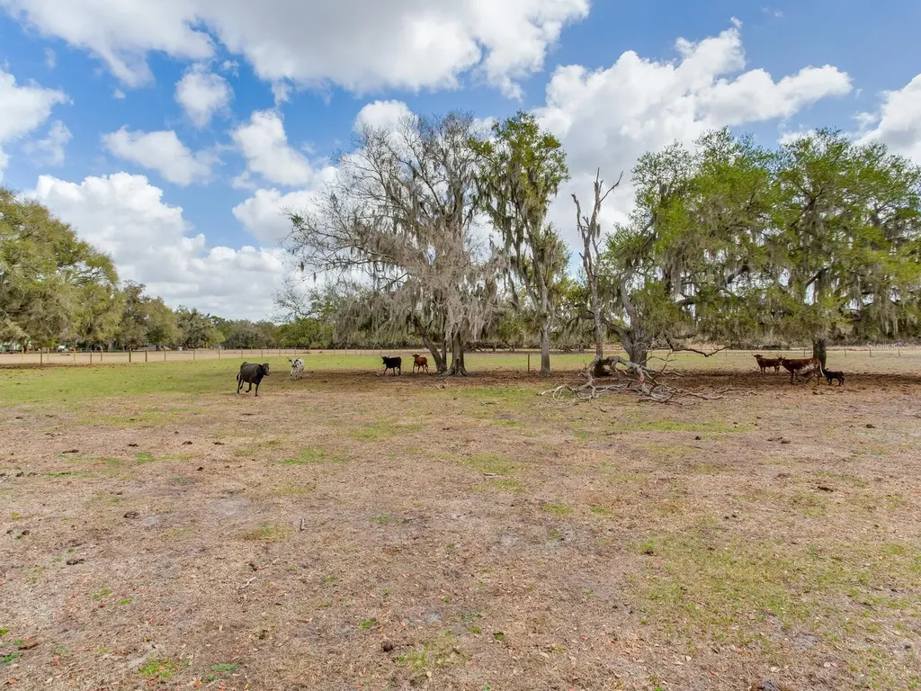 0 S Cr 39 Lithia FL 33547