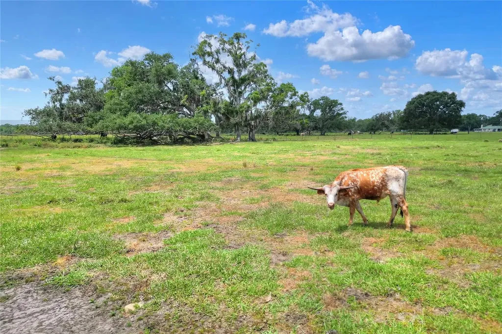 0 S Cr 39 Lithia FL 33547
