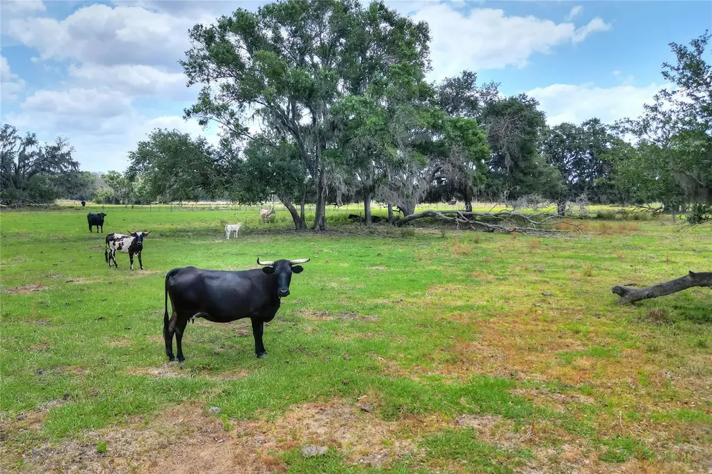 0 S Cr 39 Lithia FL 33547