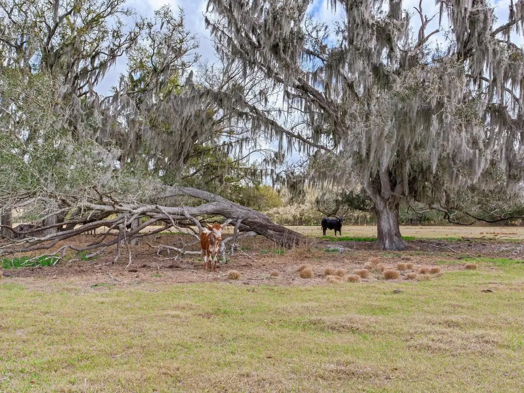 0 S Cr 39 Lithia FL 33547