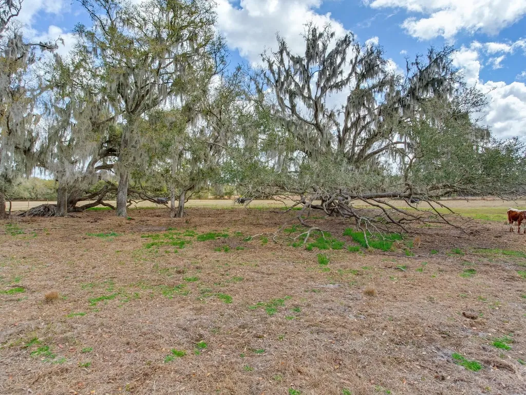 0 S Cr 39 Lithia FL 33547