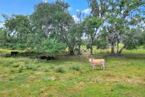 0 S Cr 39 Lithia FL 33547