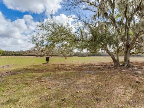 0 S Cr 39 Lithia FL 33547