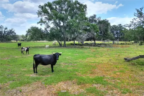0 S Cr 39 Lithia FL 33547