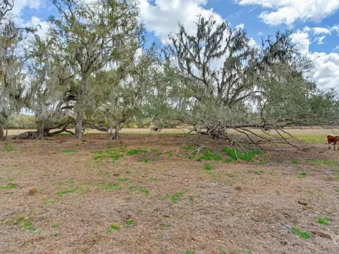 0 S Cr 39 Lithia FL 33547