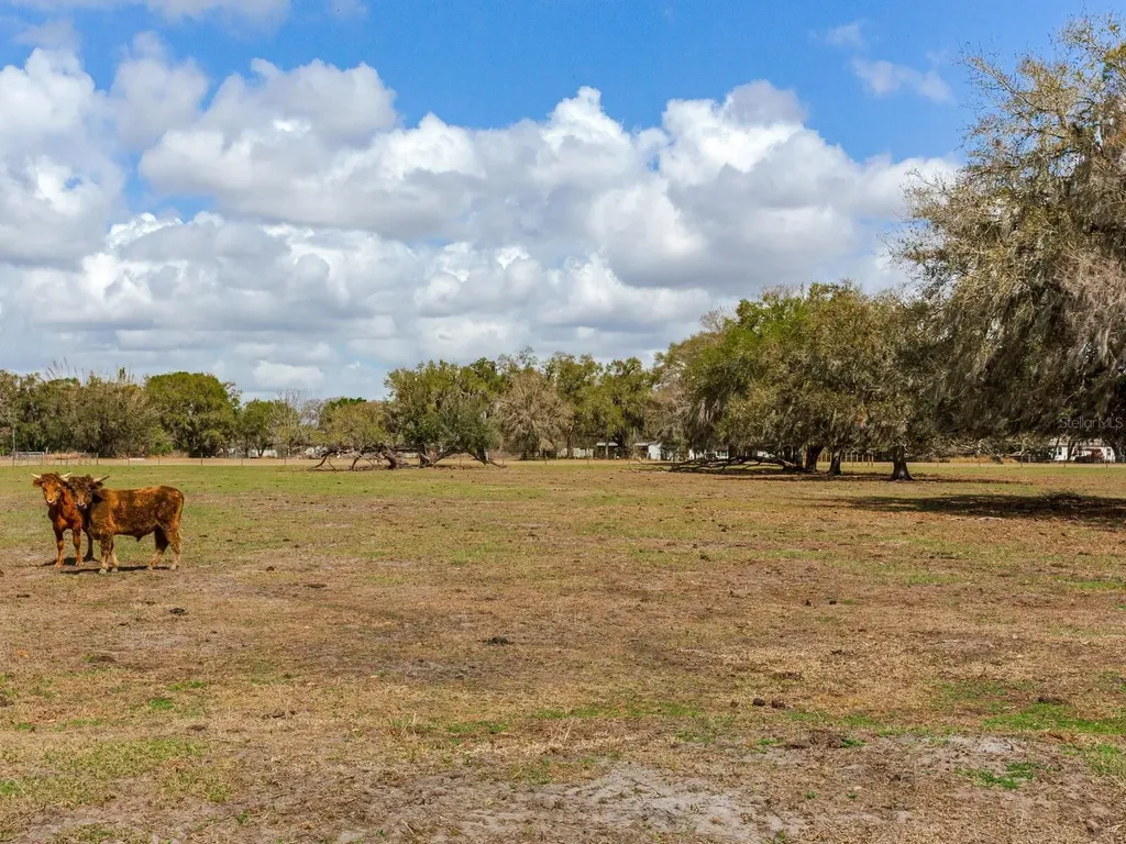 0 S Cr 39 Lithia FL 33547