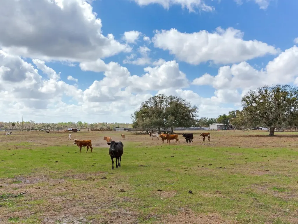 0 S Cr 39 Lithia FL 33547