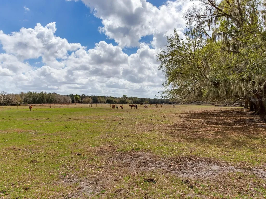 0 S Cr 39 Lithia FL 33547