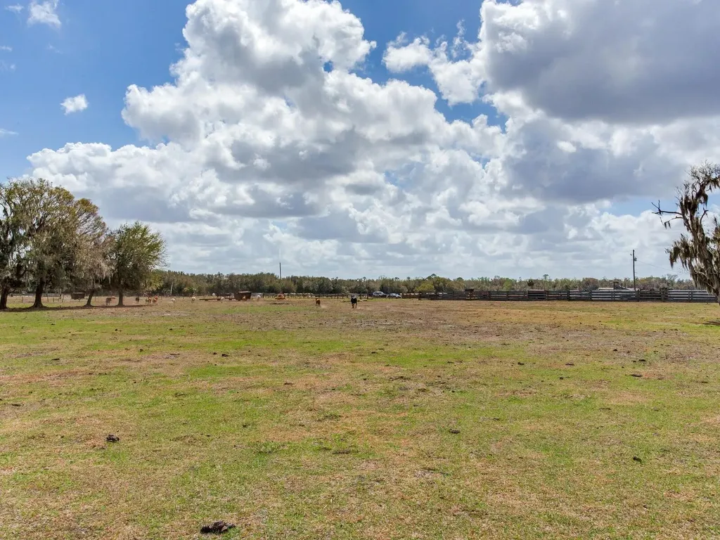 0 S Cr 39 Lithia FL 33547