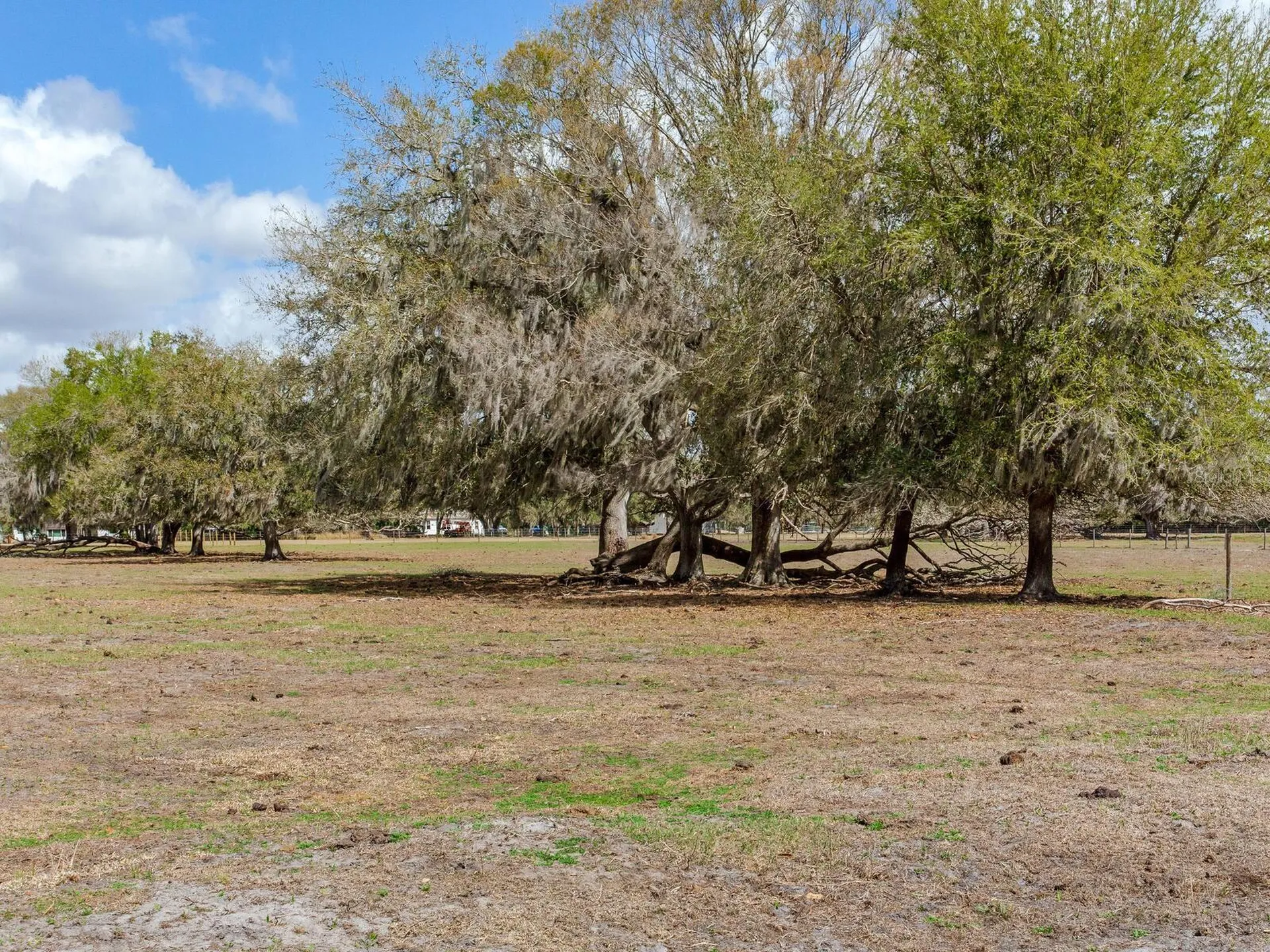 0 S Cr 39 Lithia FL 33547