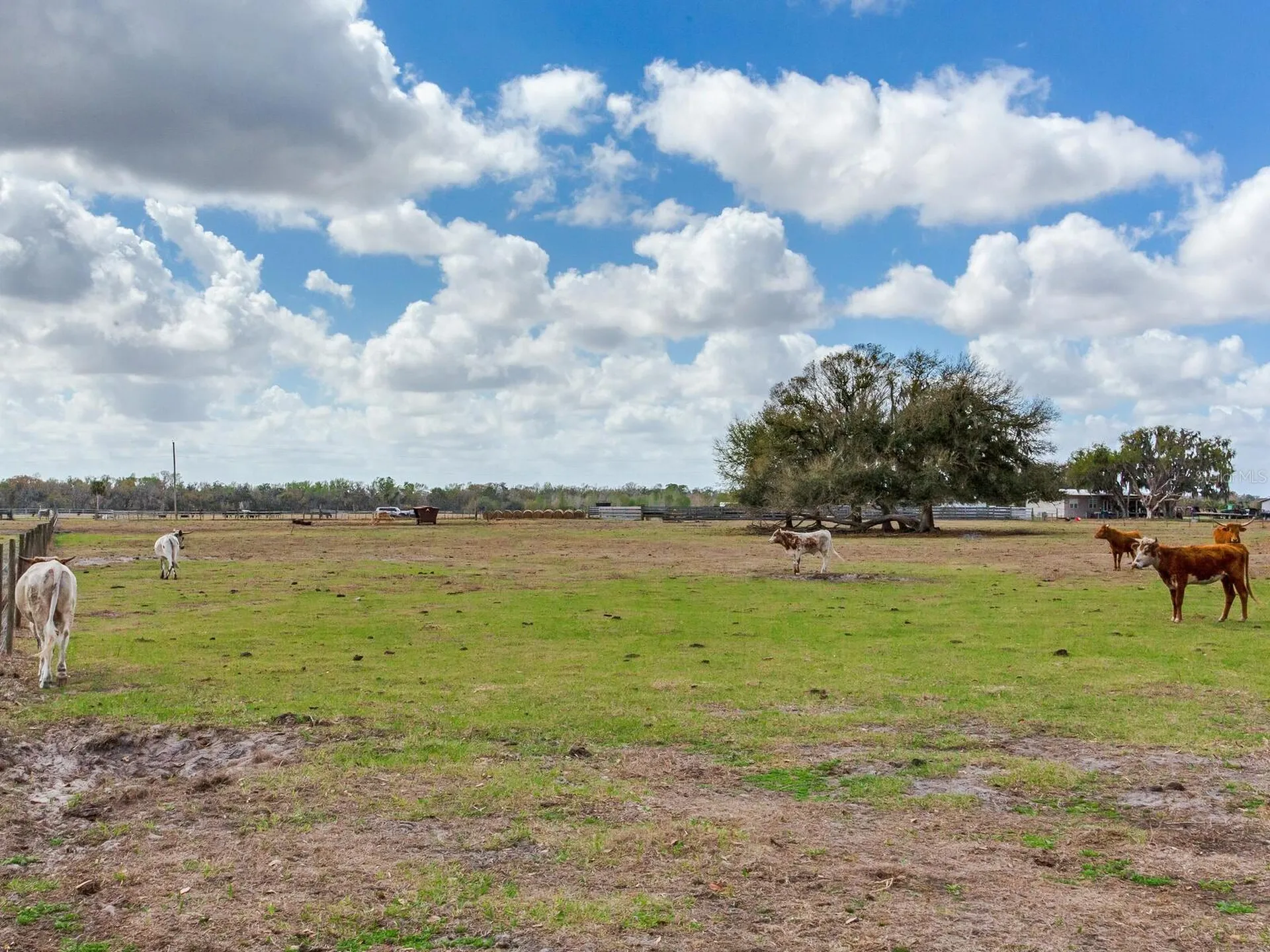 0 S Cr 39 Lithia FL 33547
