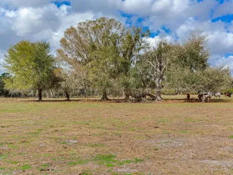 0 S Cr 39 Lithia FL 33547