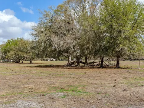0 S Cr 39 Lithia FL 33547