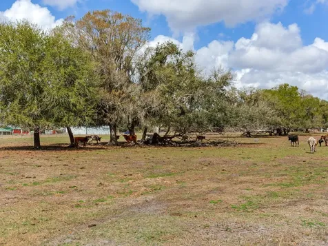 0 S Cr 39 Lithia FL 33547
