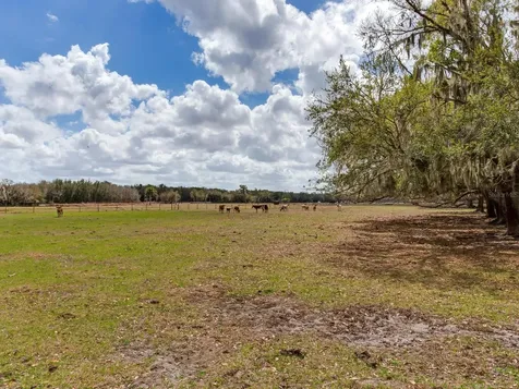 0 S Cr 39 Lithia FL 33547