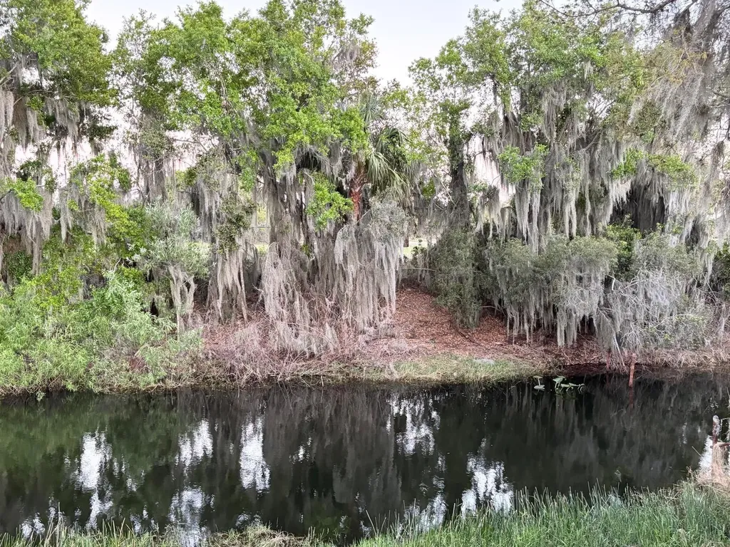 613 S Willow Avenue Avon Park FL 33825