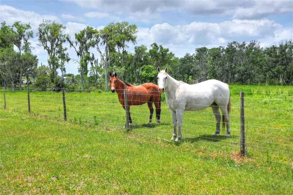 0 S Cr 39 Lithia FL 33547