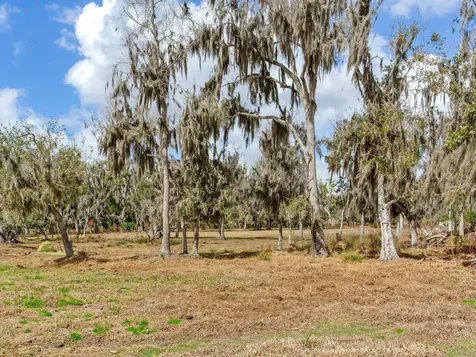 0 S Cr 39 Lithia FL 33547