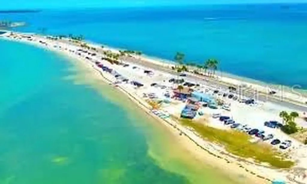 950 Broadway Dunedin FL 34698