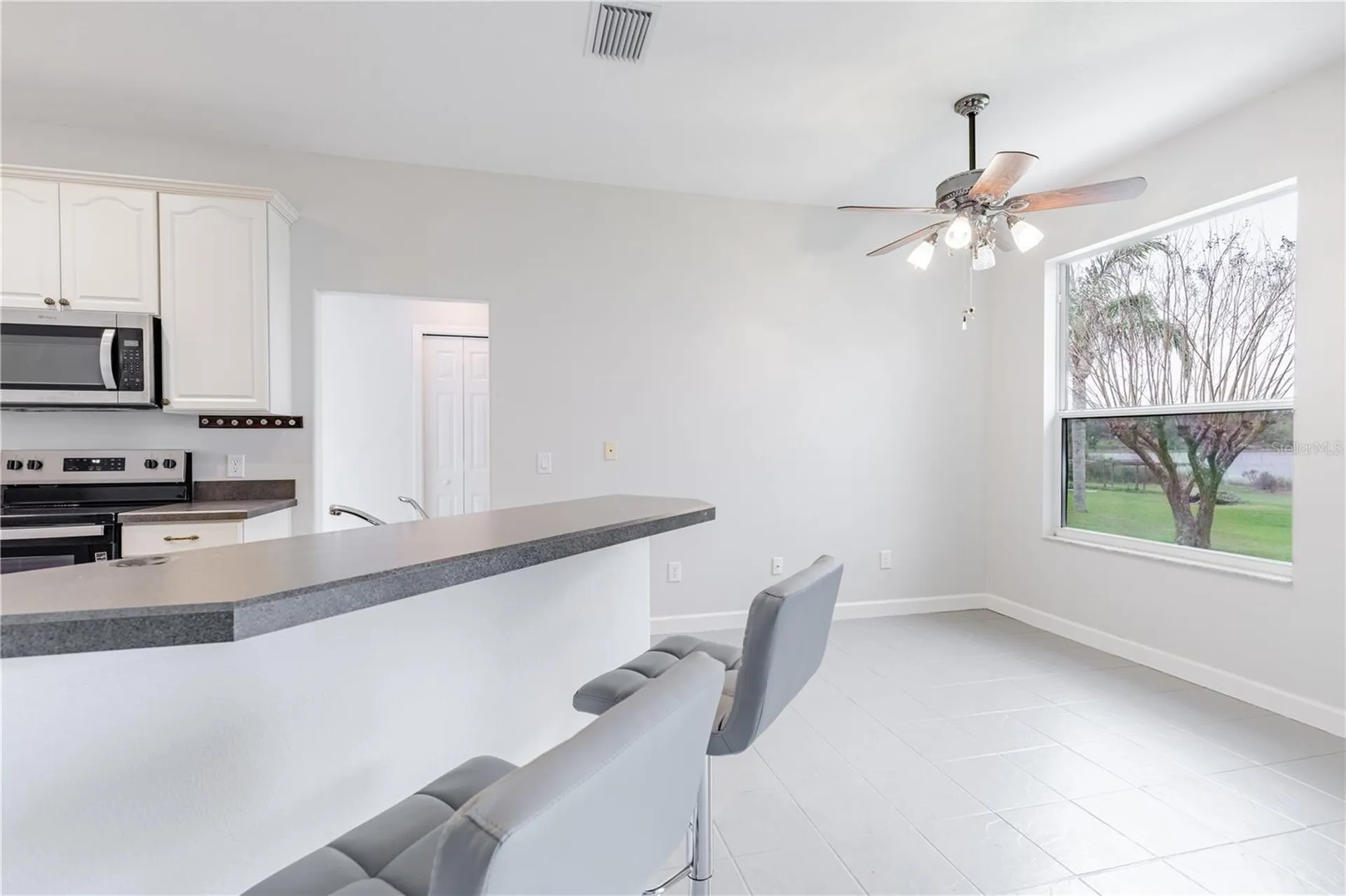 3804 Bayshore Circle Tavares FL 32778