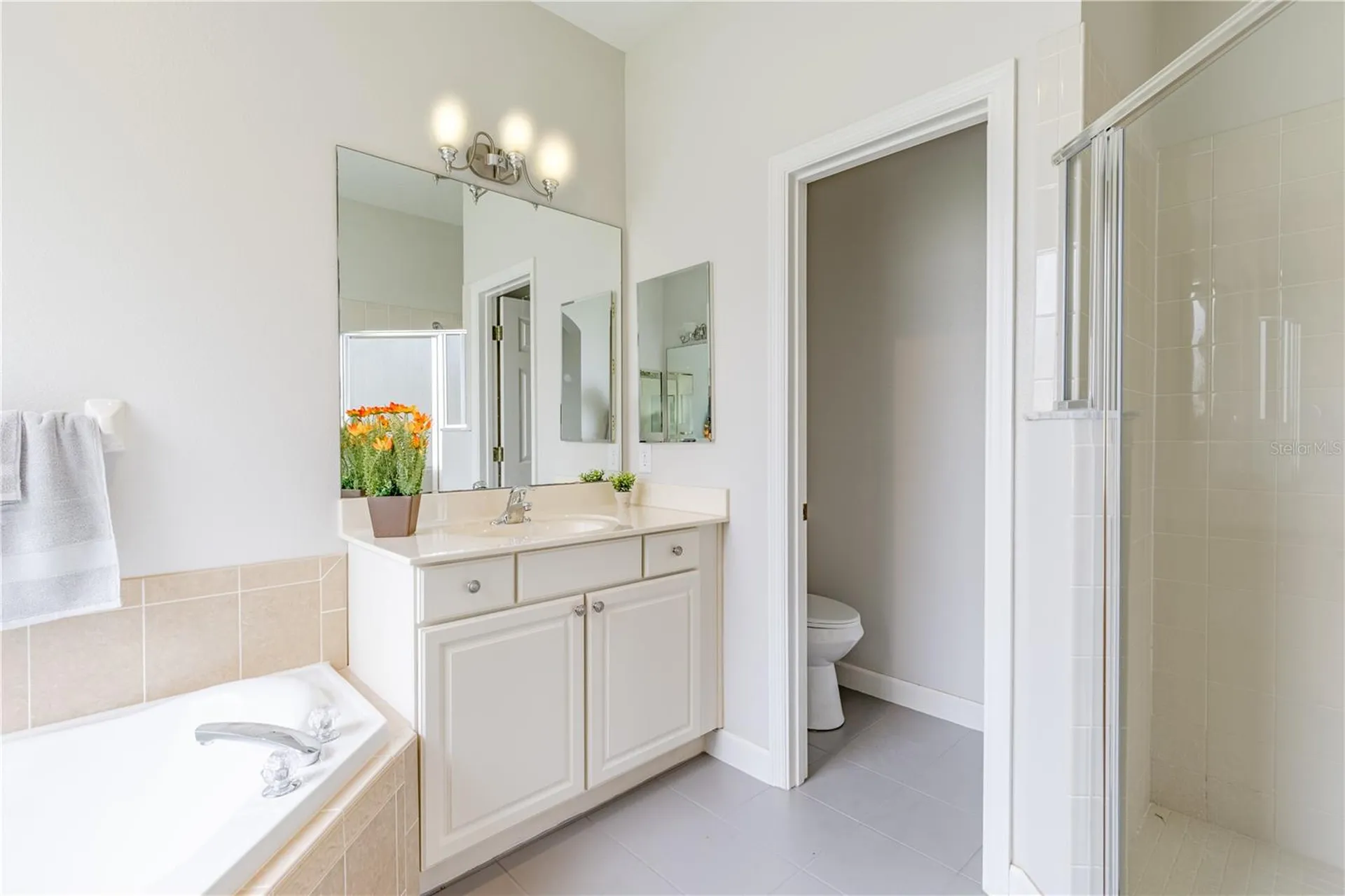 3804 Bayshore Circle Tavares FL 32778