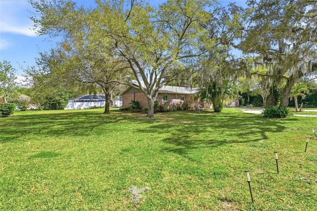 2817 Fleeman Road Palm Harbor FL 34683